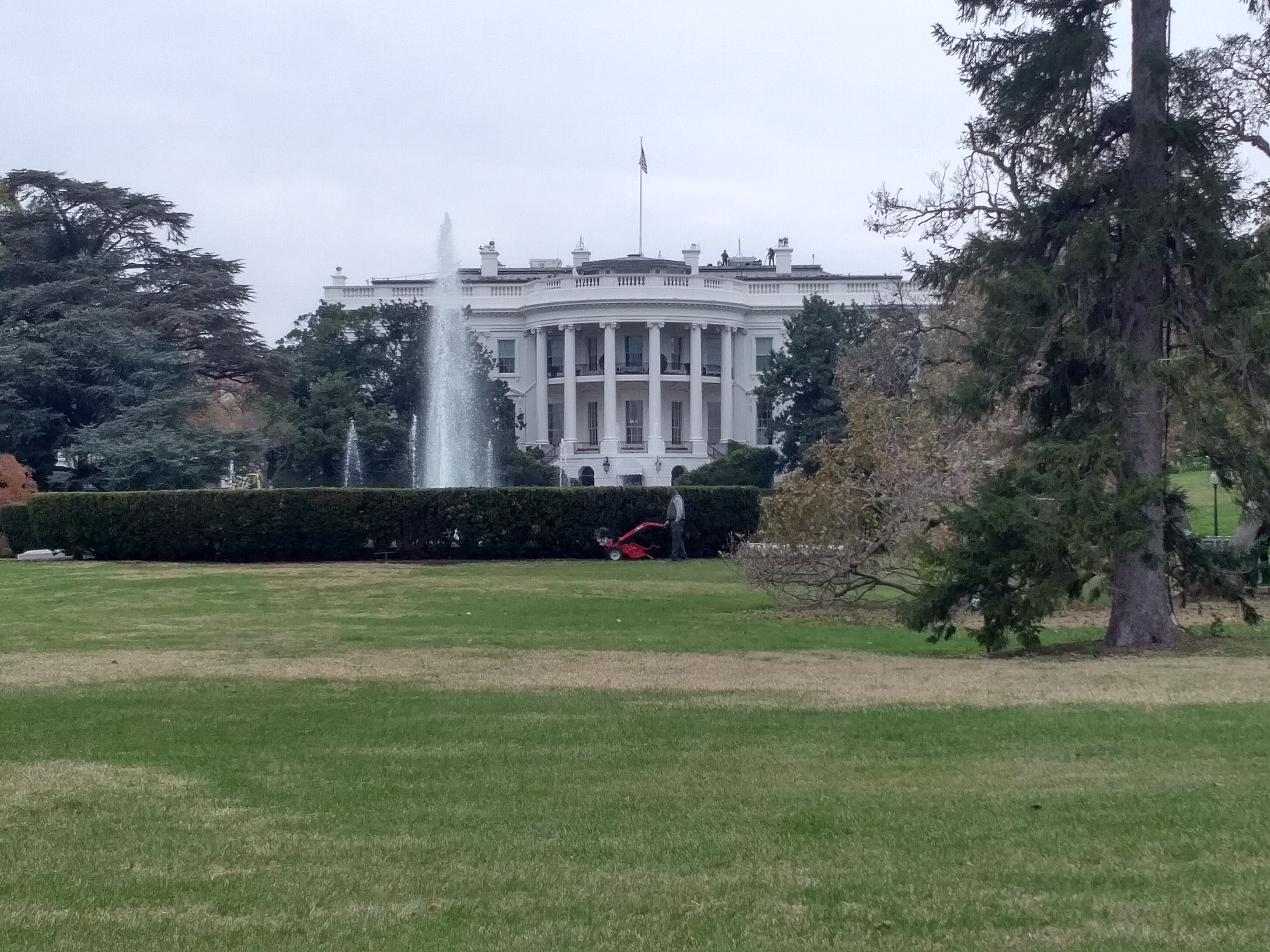 whitehouse